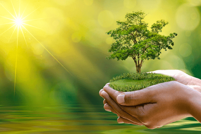 Environmental Service